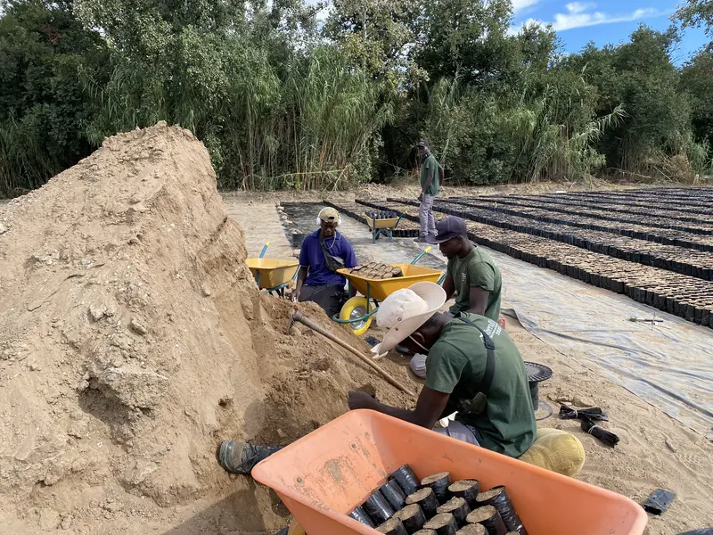 Preparaci&oacute;n del sustrato en la zona exterior del vivero